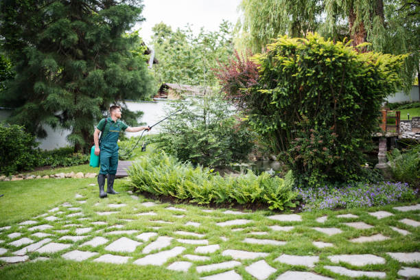 Best Local Pest Control Services  in Fox Island, WA