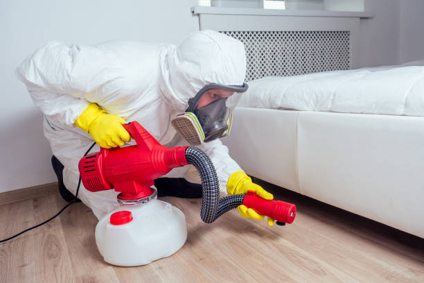 Best Affordable Pest Control Services  in Fox Island, WA