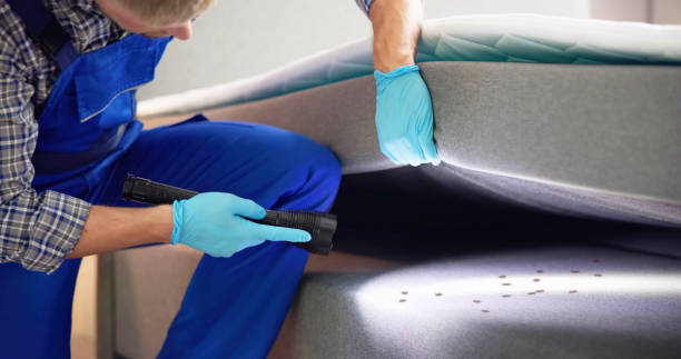 Best Termite Control Services  in Fox Island, WA