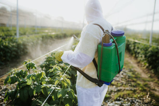 Best Best Pest Control Near Me  in Fox Island, WA